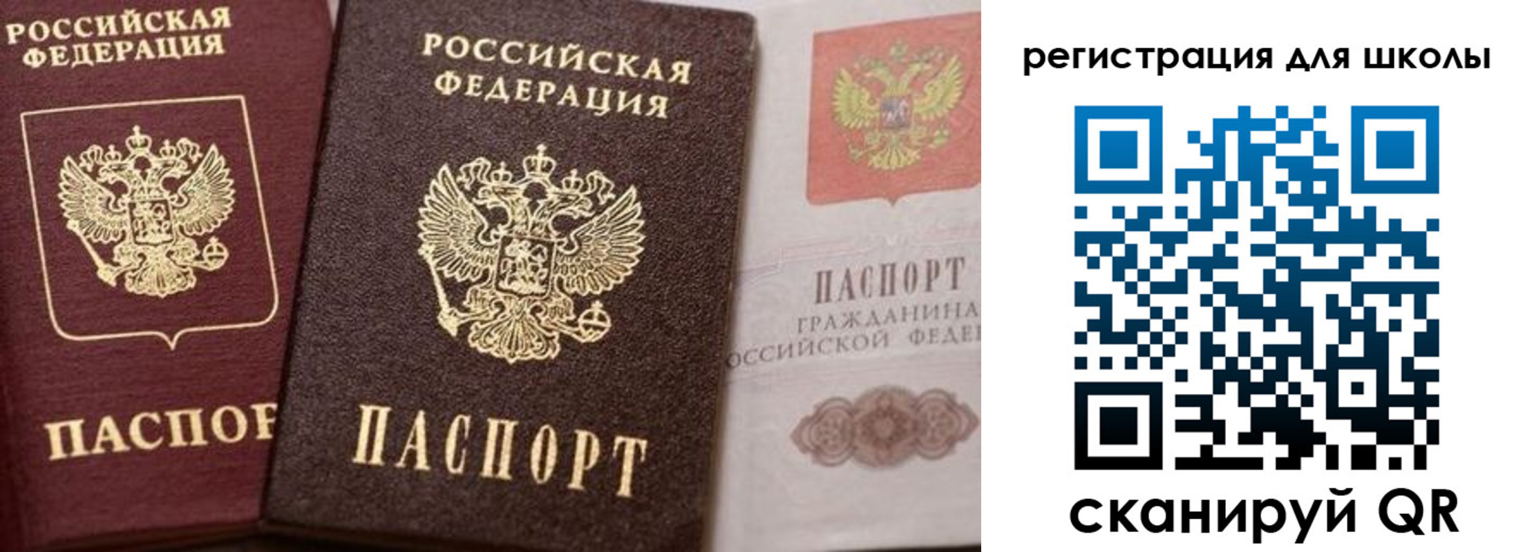 прописка штамп в Александровске