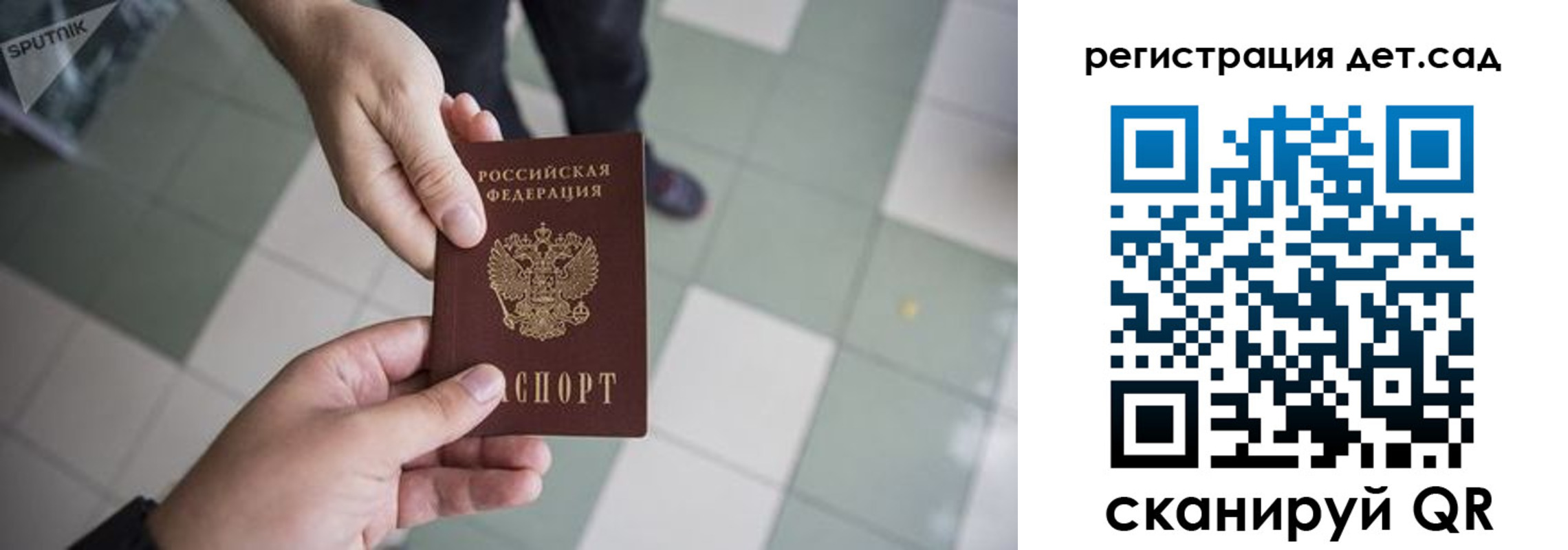 прописка 2025 в Александровске